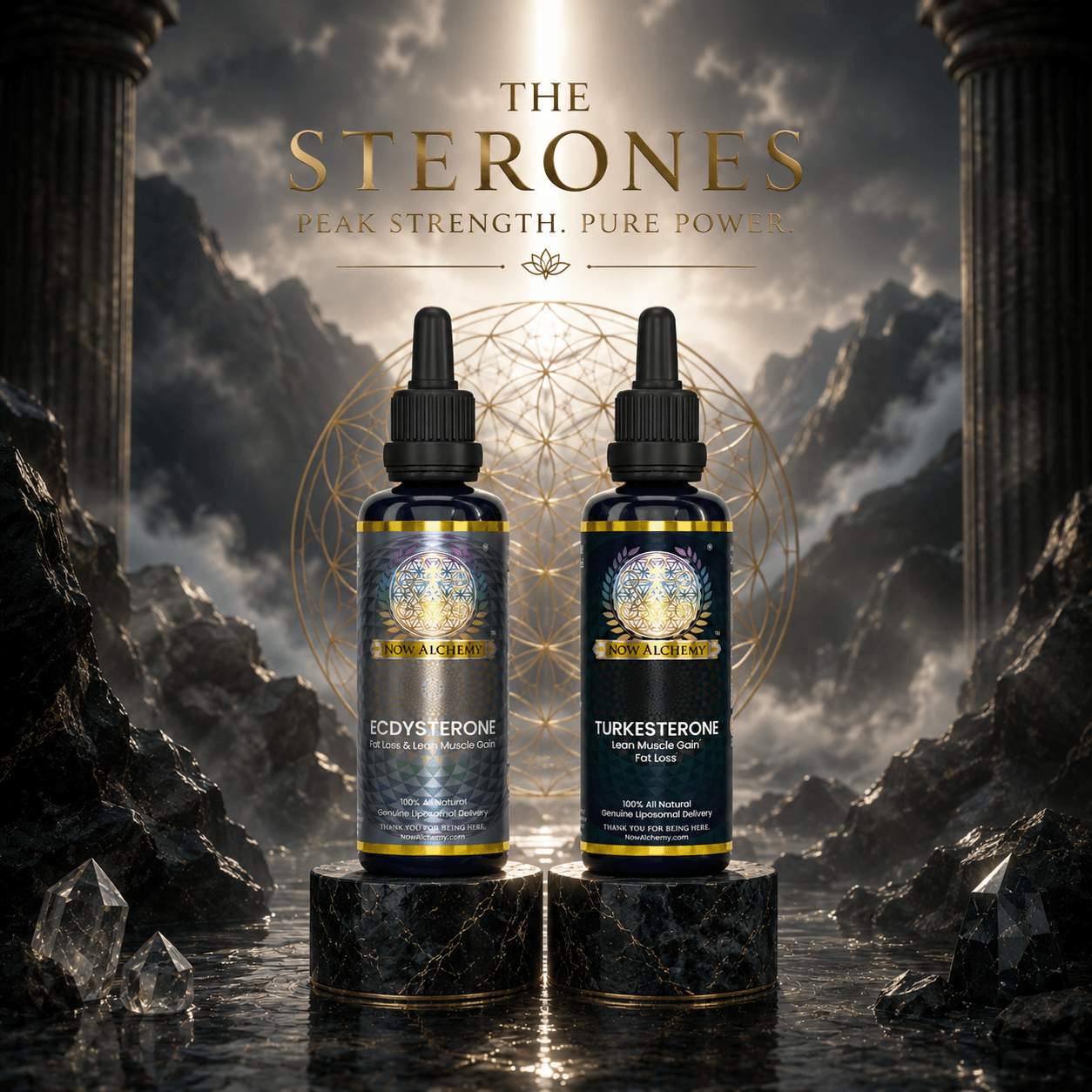 Turkesterone + Ecdysterone - Now Alchemy