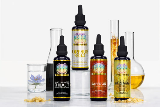 The Vagus Nerve Bundle