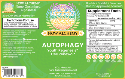 Autophagy - Now Alchemy