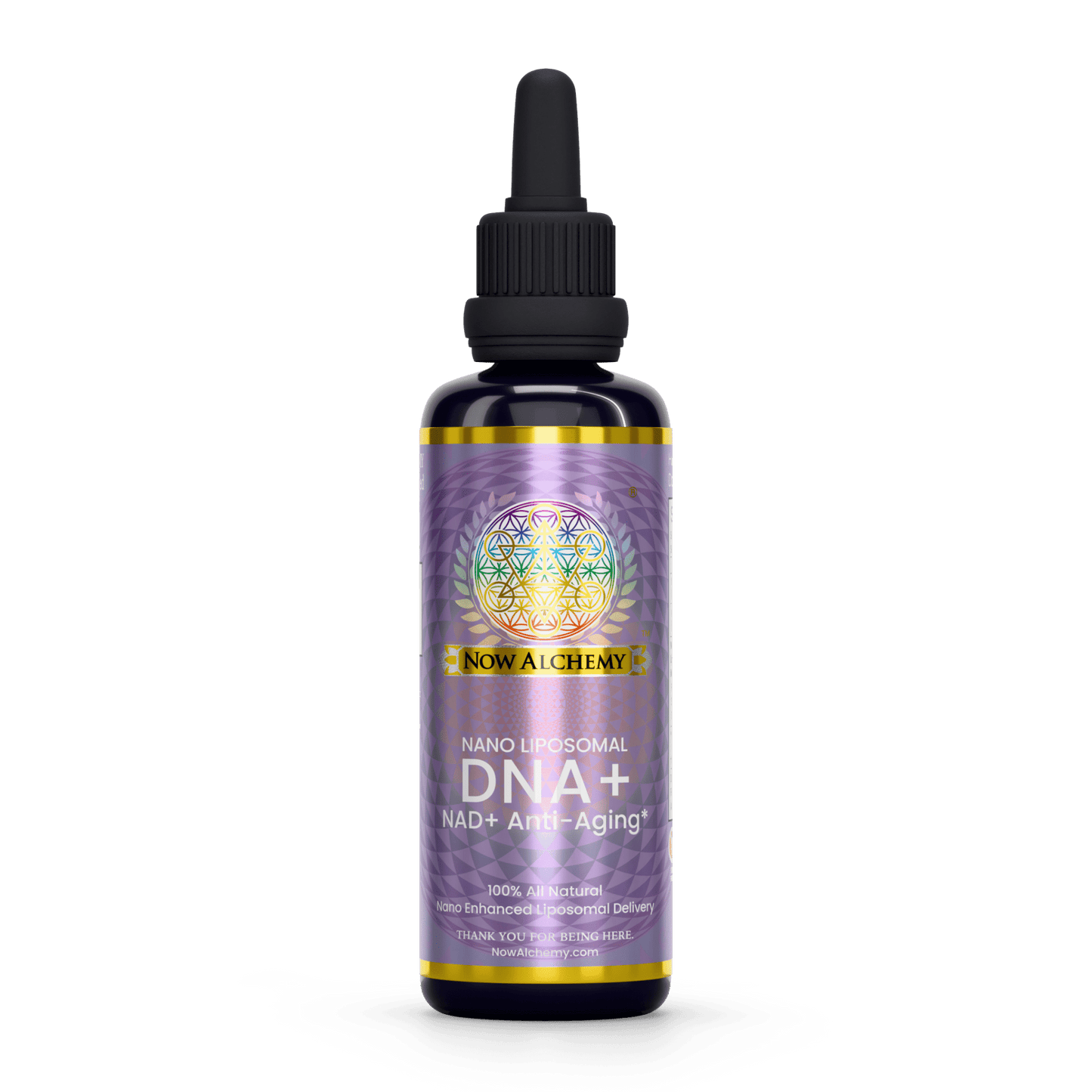 DNA - Now Alchemy