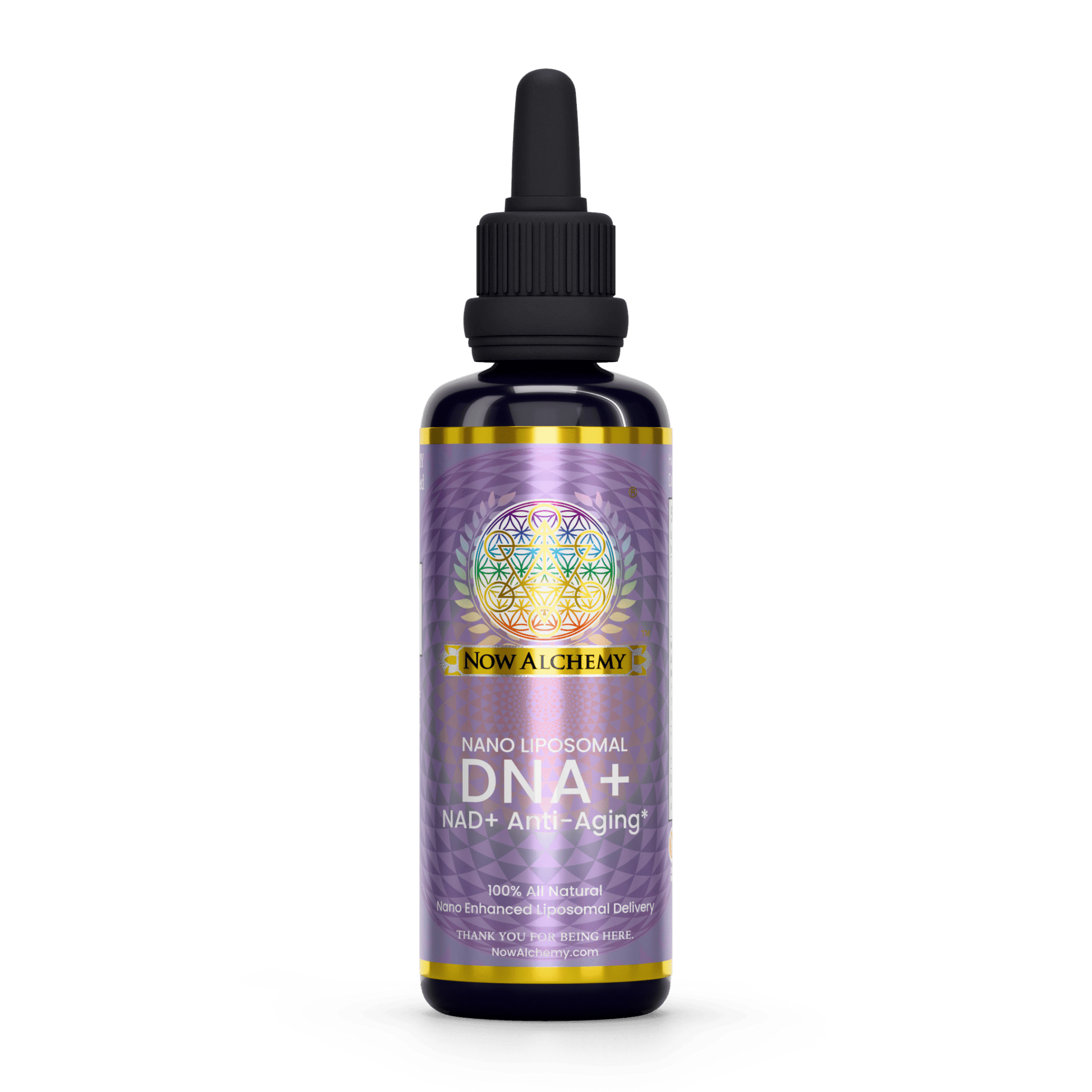DNA - Now Alchemy