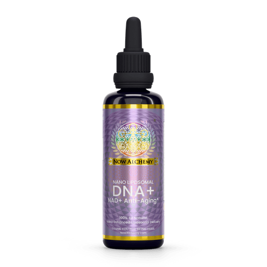 DNA - Now Alchemy