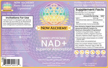 DNA - Now Alchemy