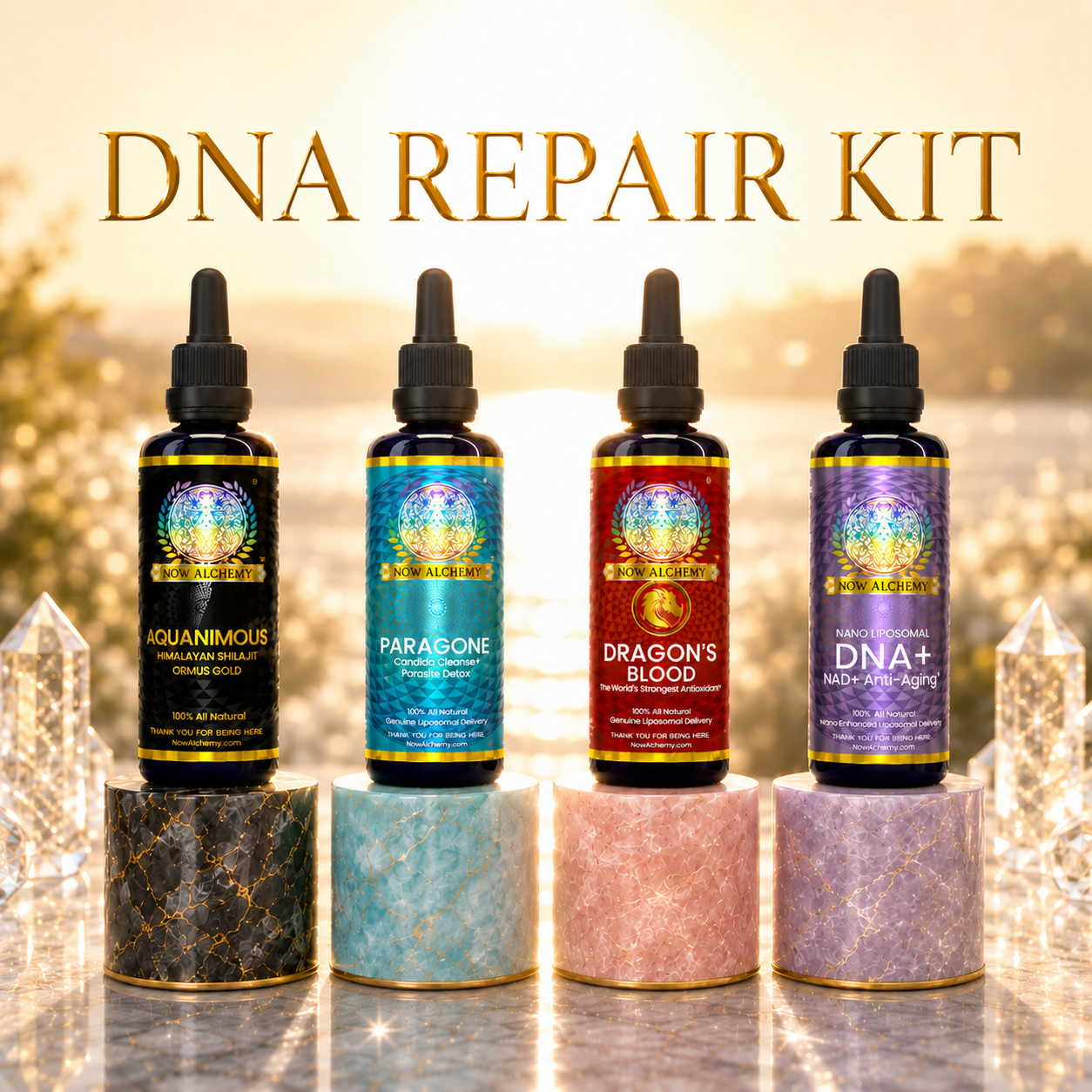 DNA Repair Kit - Now Alchemy