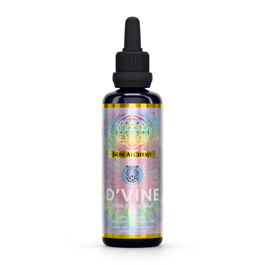 D’Vine (Nanoliposomal B. Caapi) - Now Alchemy