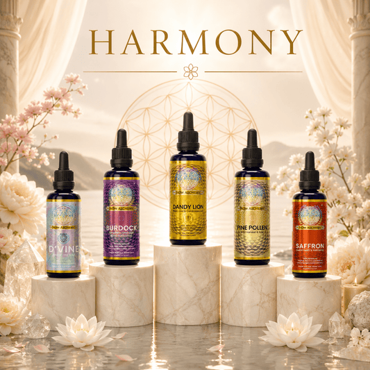 Harmony - Now Alchemy