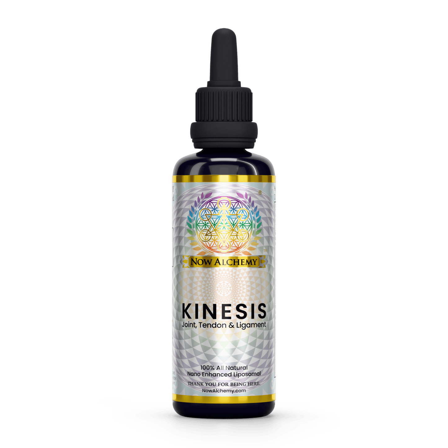 Kinesis - Now Alchemy