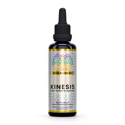 Kinesis - Now Alchemy