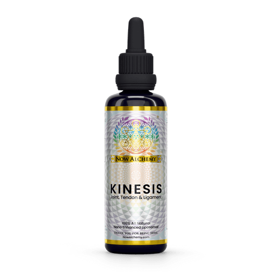 Kinesis - Now Alchemy