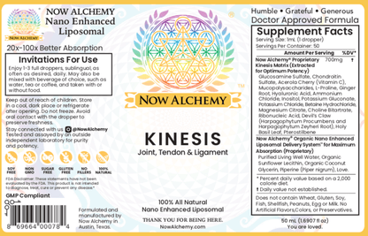 Kinesis - Now Alchemy