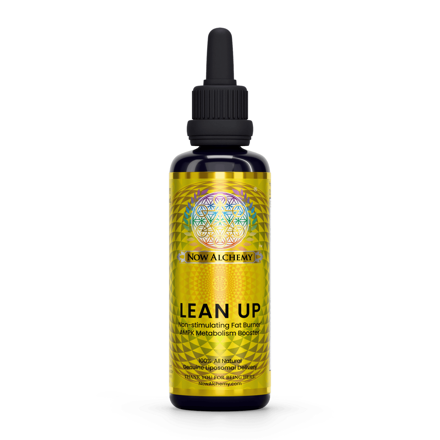 Lean Up - Now Alchemy
