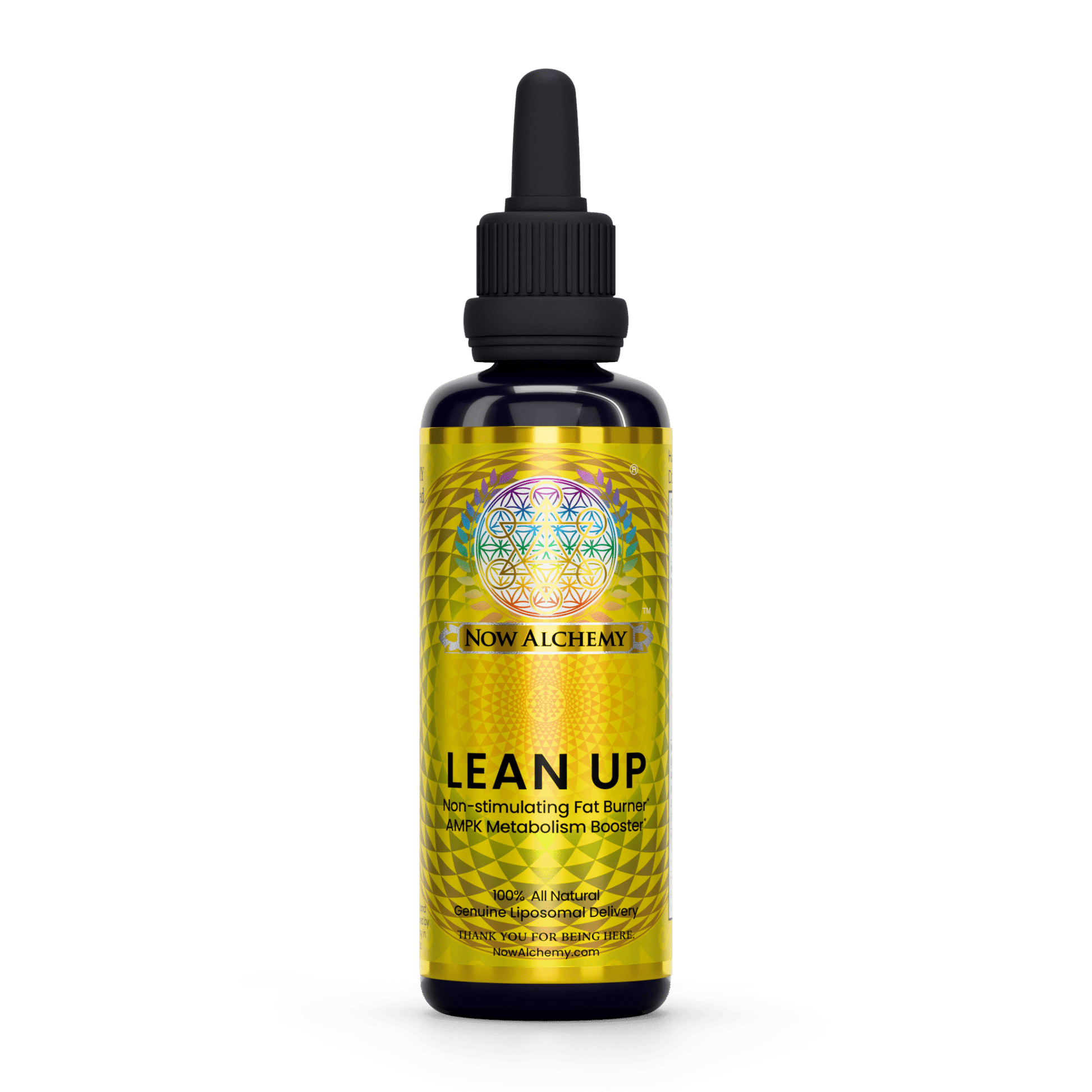 Lean Up - Now Alchemy
