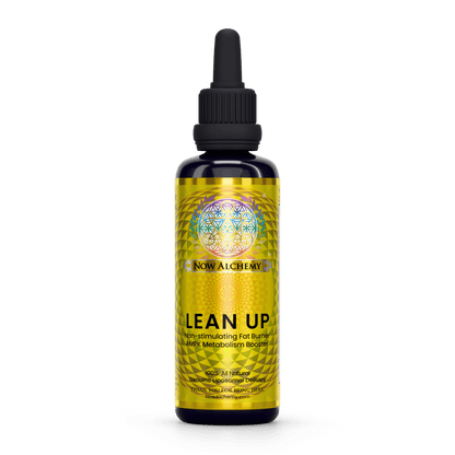 Lean Up - Now Alchemy
