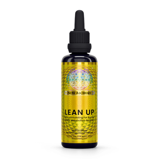 Lean Up - Now Alchemy