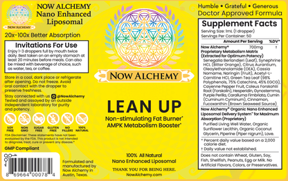 Lean Up - Now Alchemy