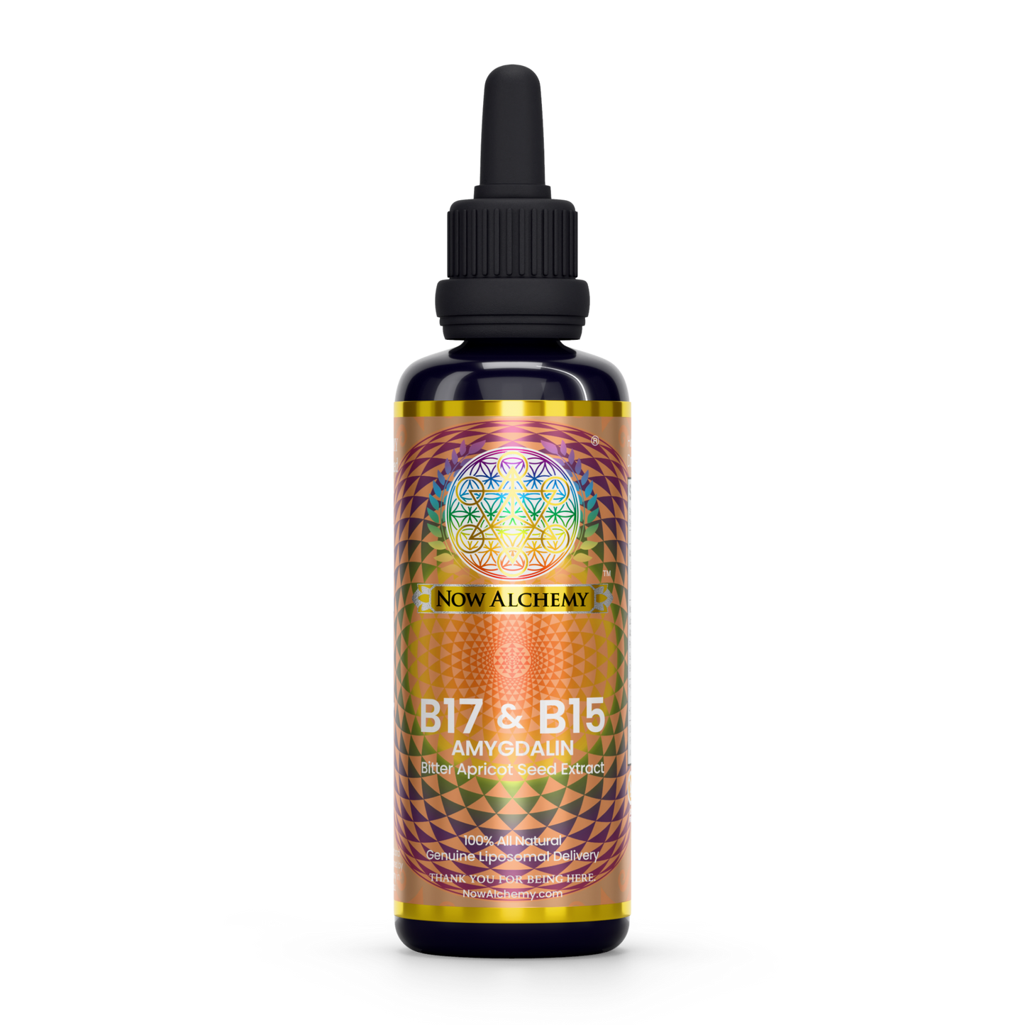 Nanoliposomal Amygdalin - Now Alchemy