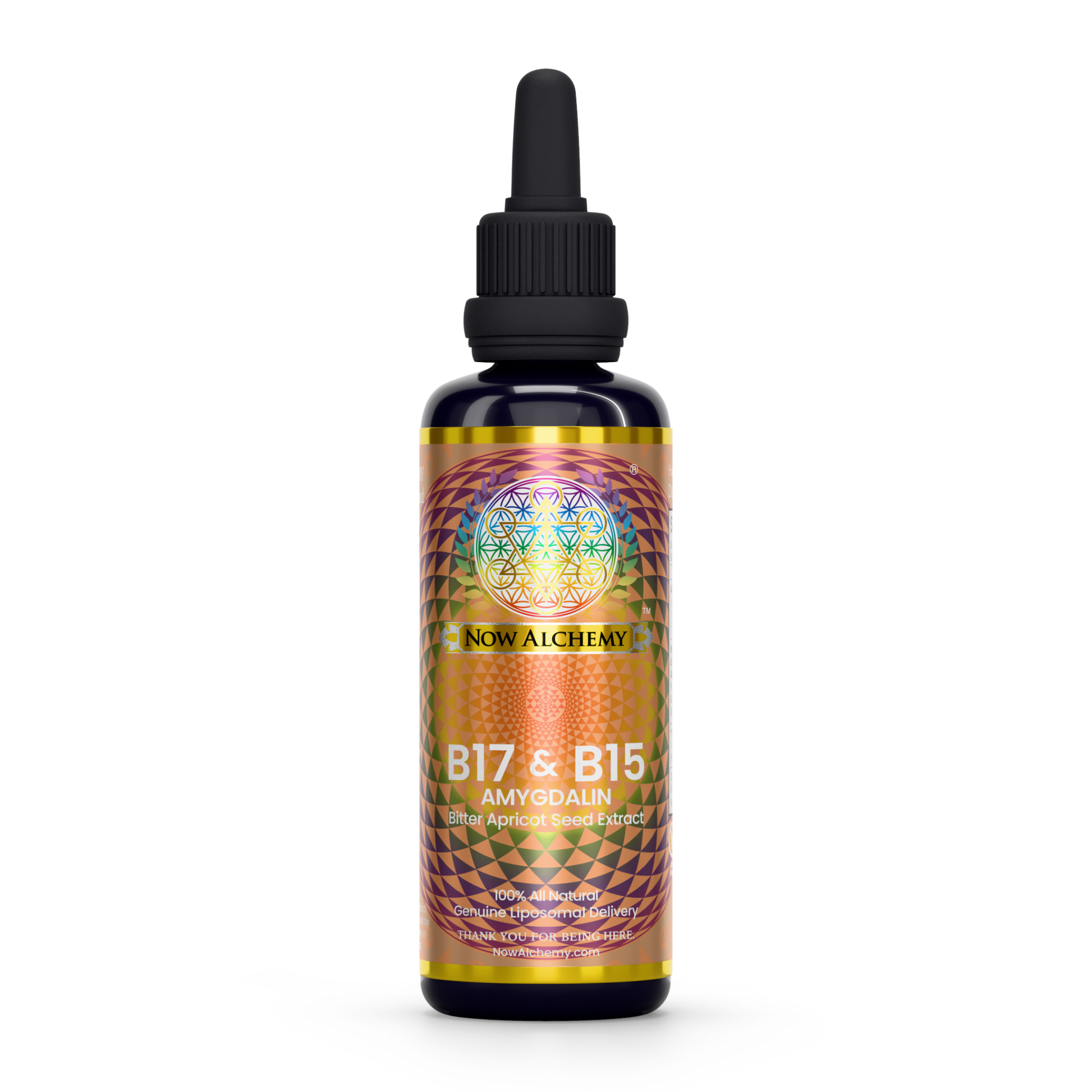 Nanoliposomal Amygdalin - Now Alchemy