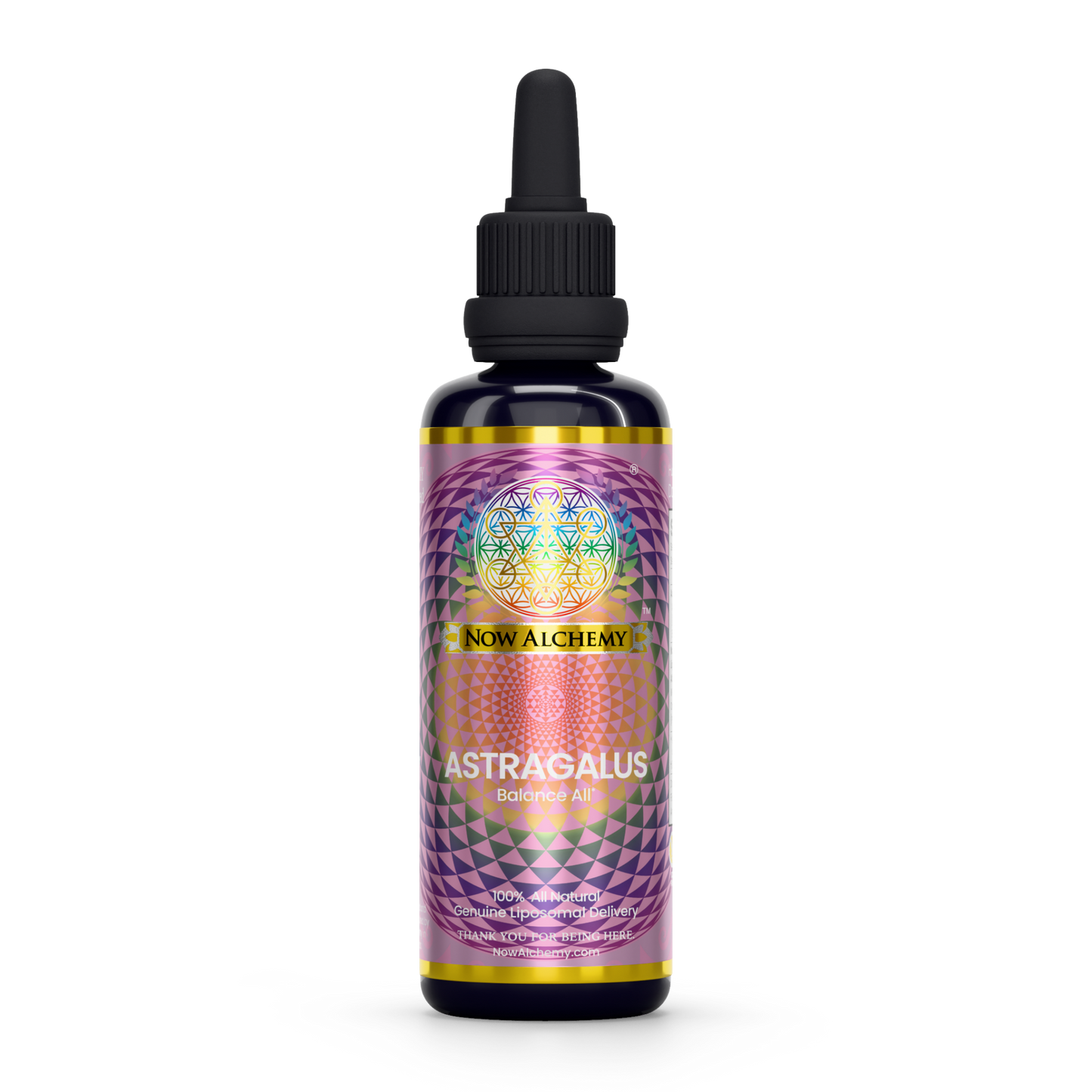 Nanoliposomal Astragalus - Now Alchemy