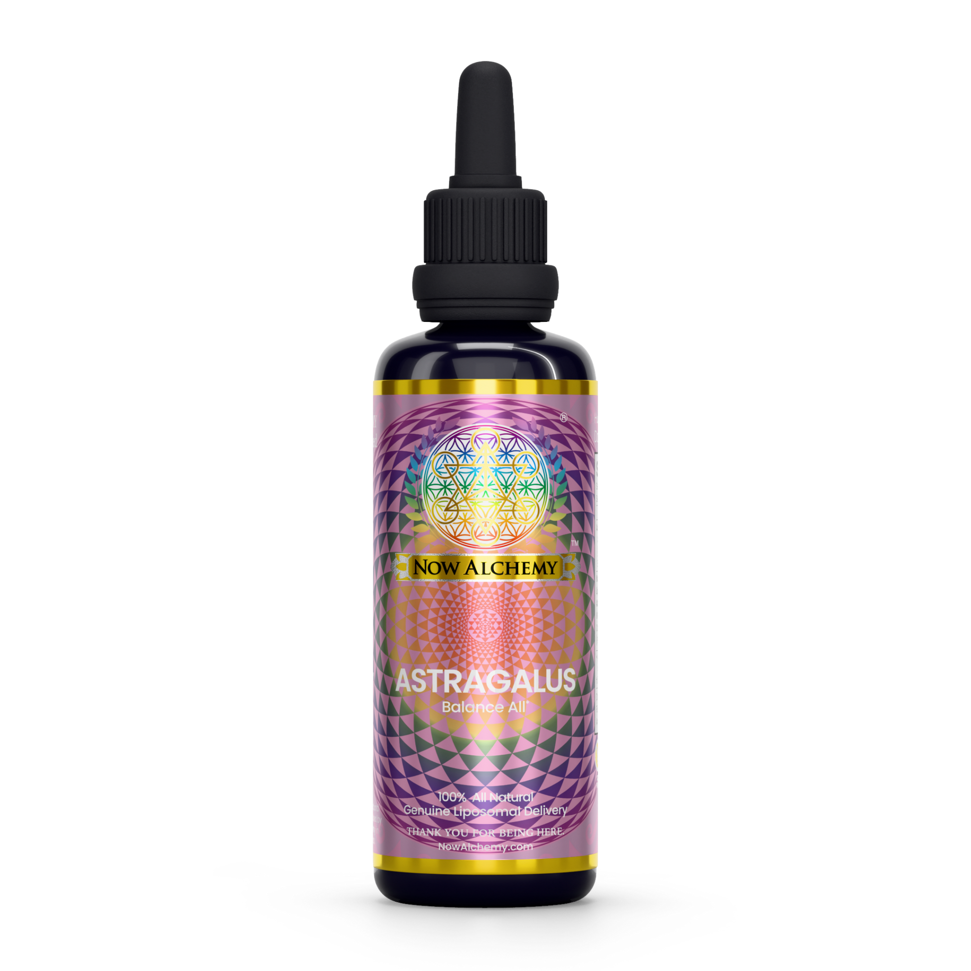 Nanoliposomal Astragalus - Now Alchemy