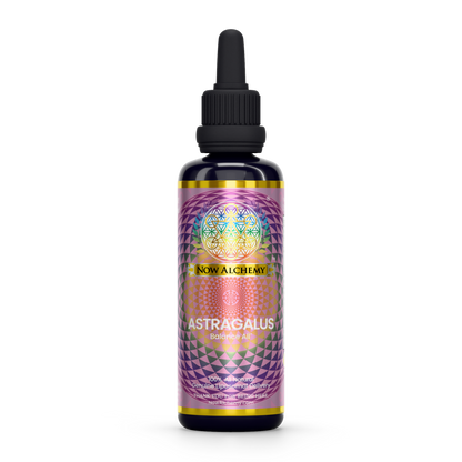 Nanoliposomal Astragalus - Now Alchemy