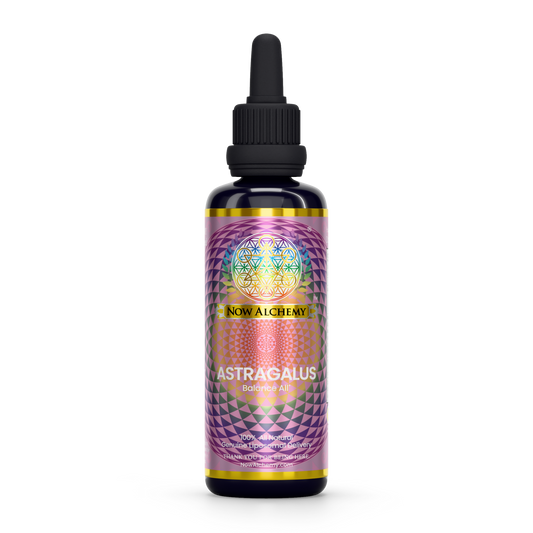 Nanoliposomal Astragalus - Now Alchemy