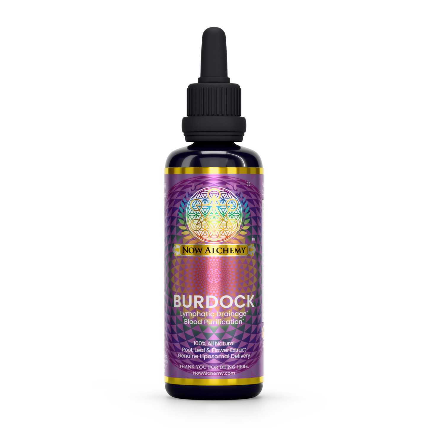 Nanoliposomal Burdock - Now Alchemy