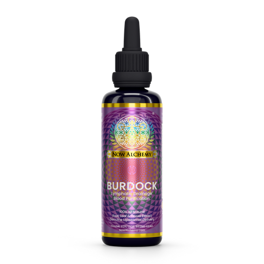 Nanoliposomal Burdock - Now Alchemy