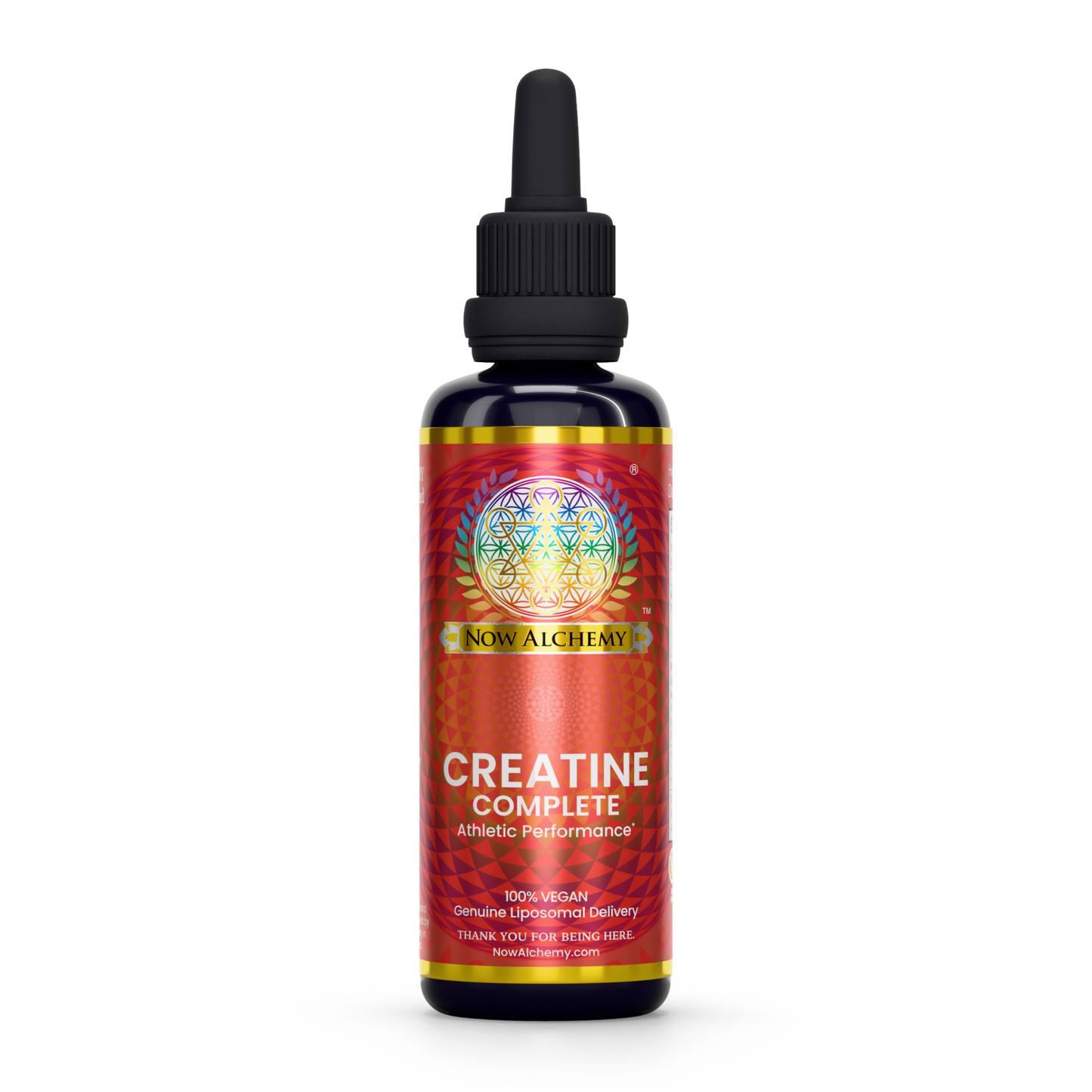 Nanoliposomal Creatine - Now Alchemy