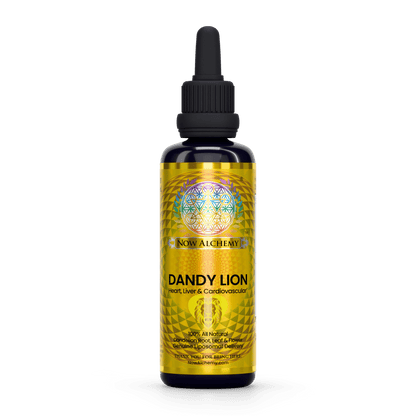 Nanoliposomal Dandelion - Now Alchemy