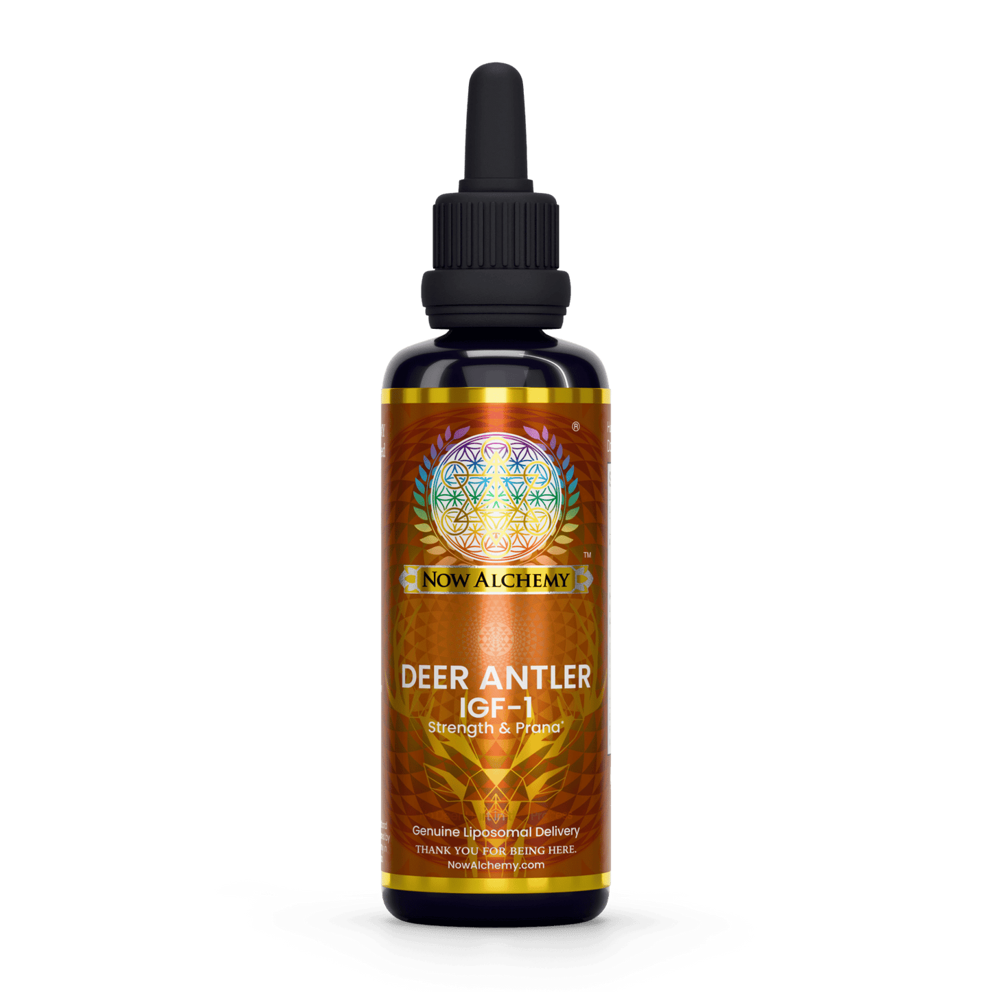 Nanoliposomal Deer Velvet Antler (IGF-1) - Now Alchemy