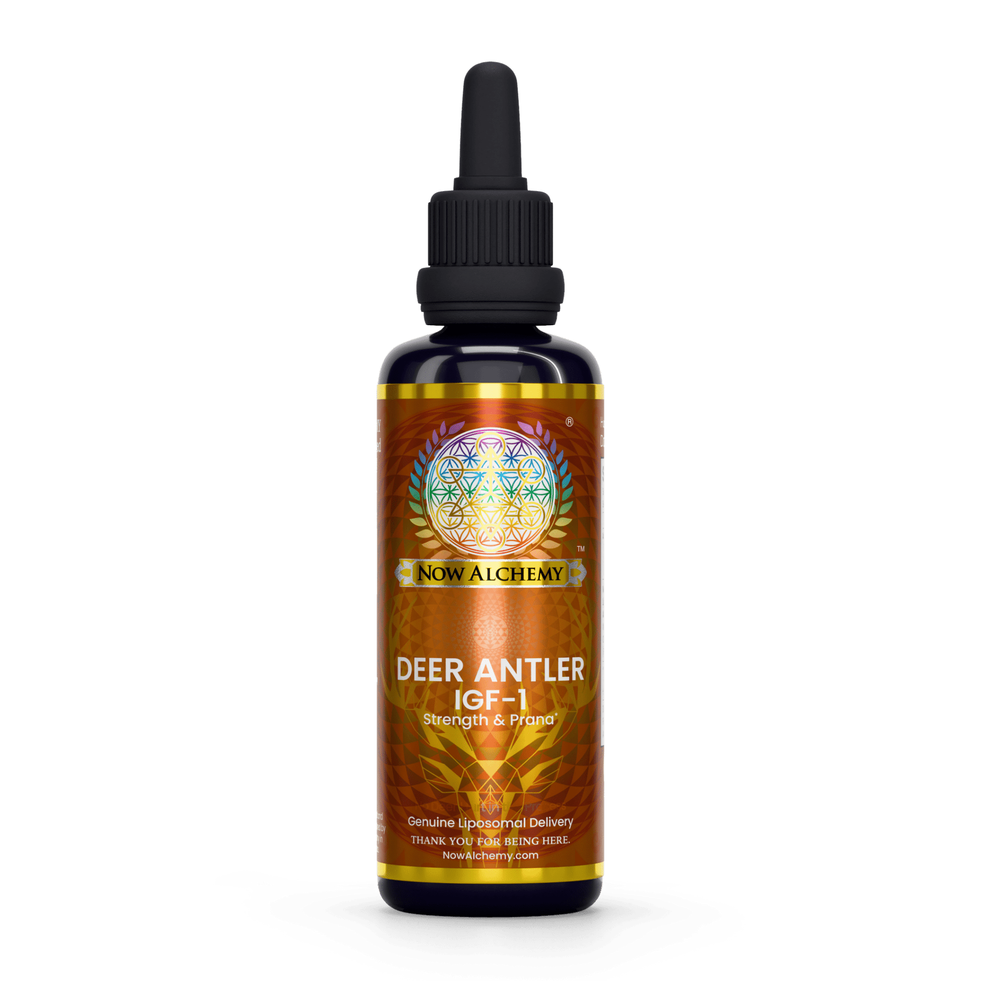 Nanoliposomal Deer Velvet Antler (IGF-1) - Now Alchemy