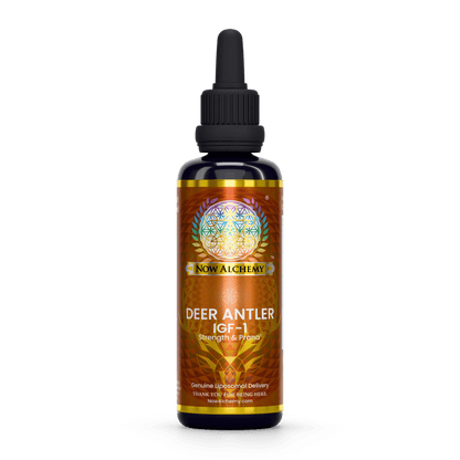 Nanoliposomal Deer Velvet Antler (IGF-1) - Now Alchemy