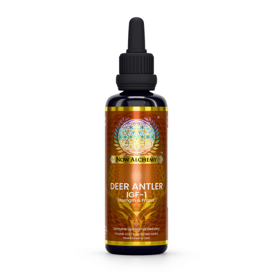 Nanoliposomal Deer Velvet Antler (IGF-1) - Now Alchemy