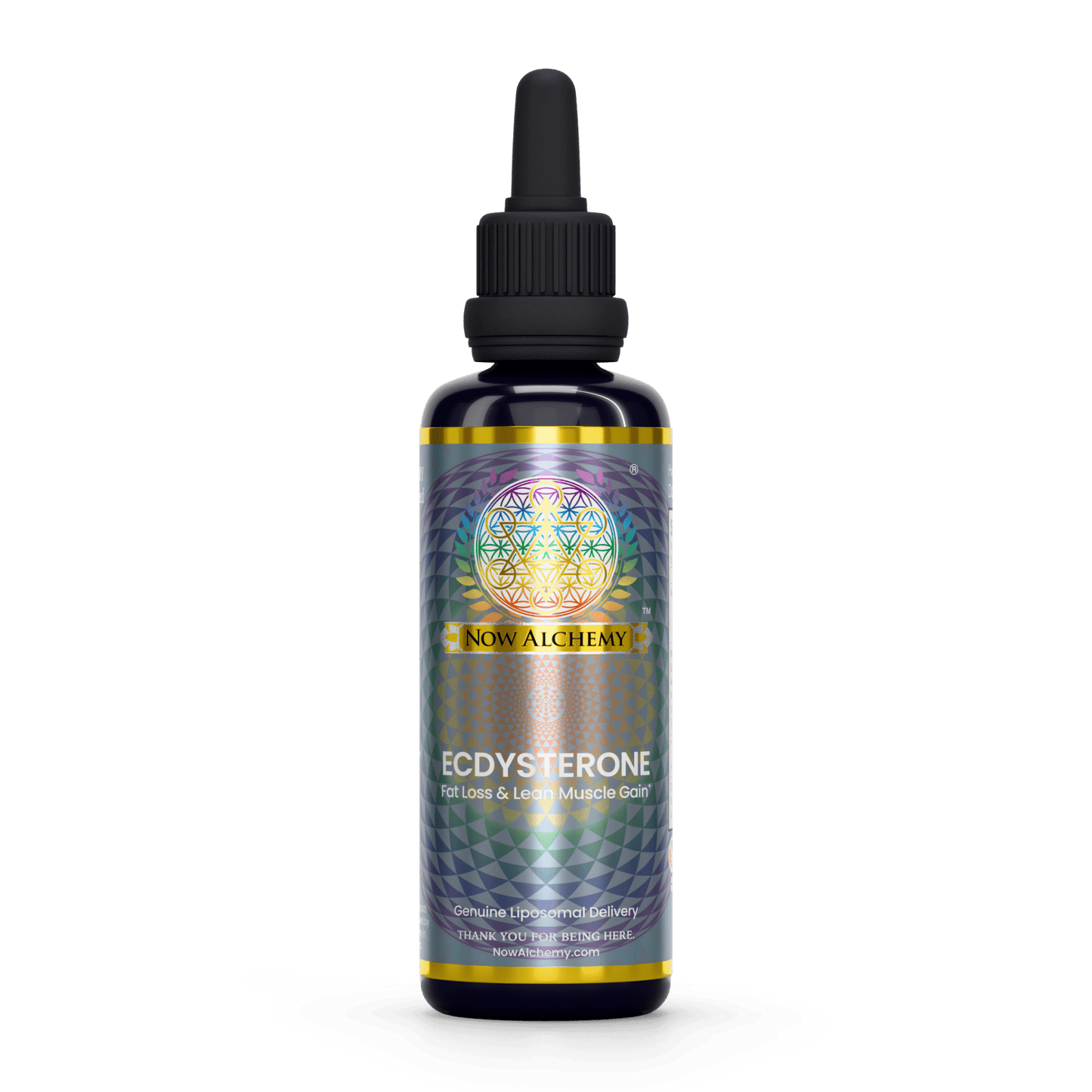 Nanoliposomal Ecdysterone - Now Alchemy