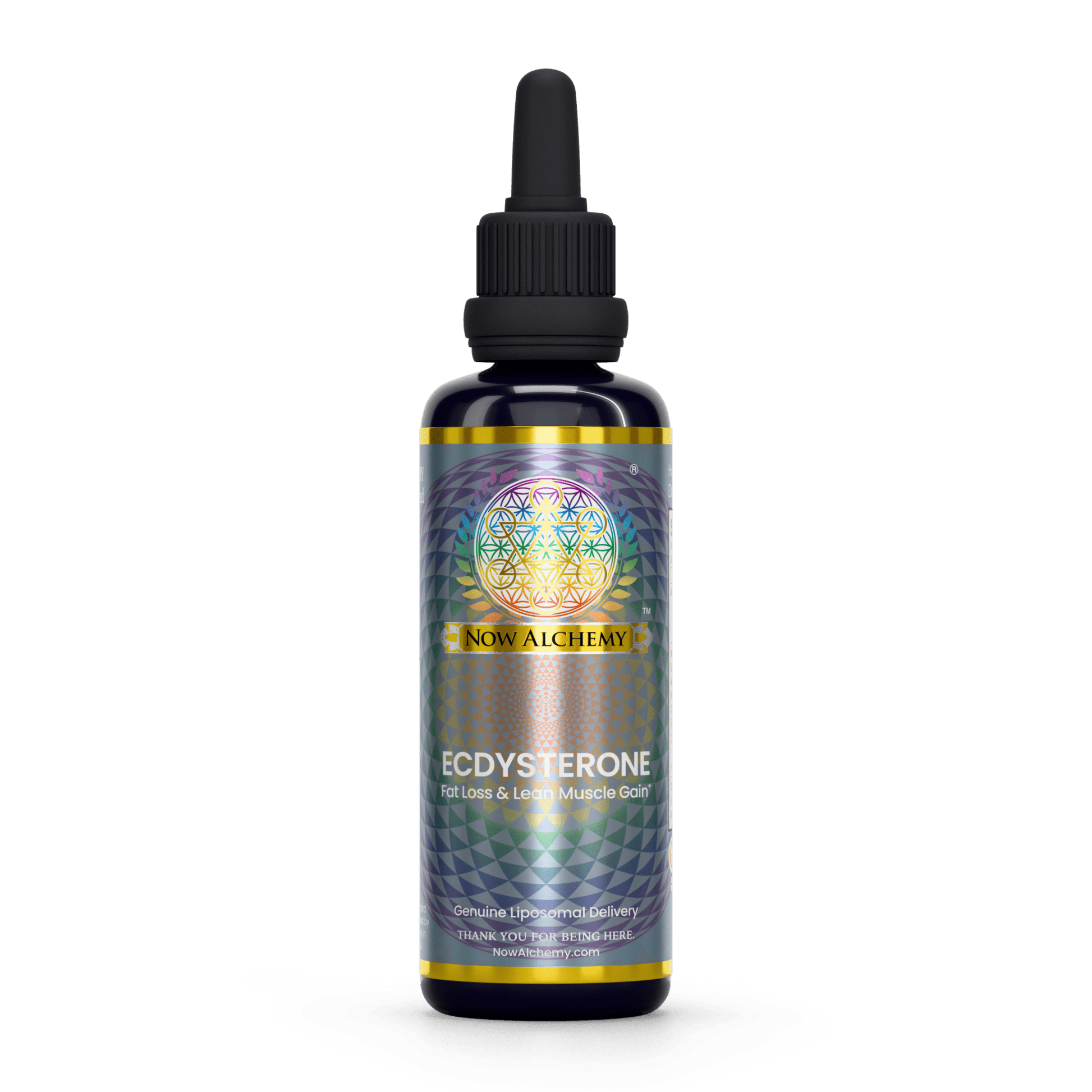 Nanoliposomal Ecdysterone - Now Alchemy