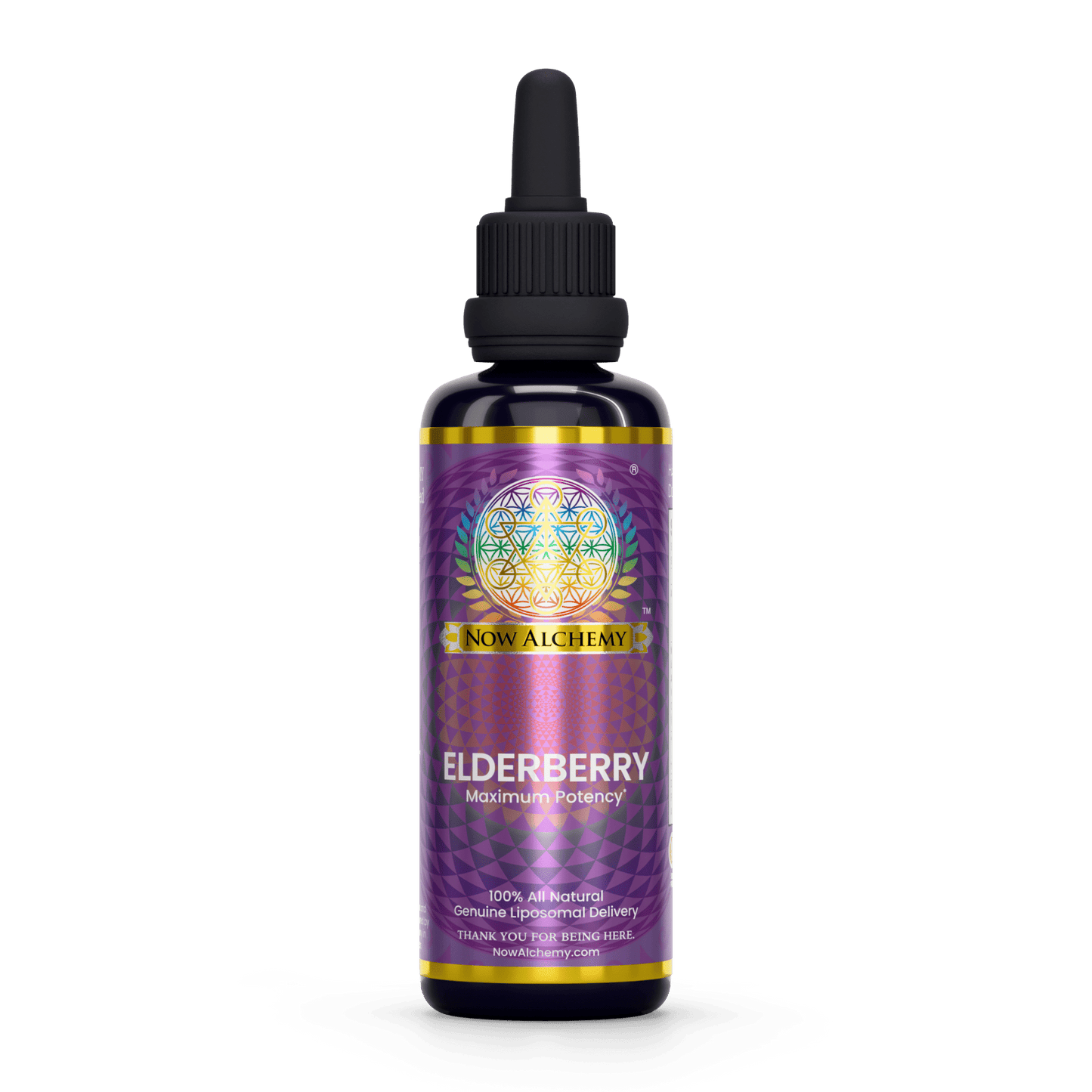 Nanoliposomal Elderberry - Now Alchemy