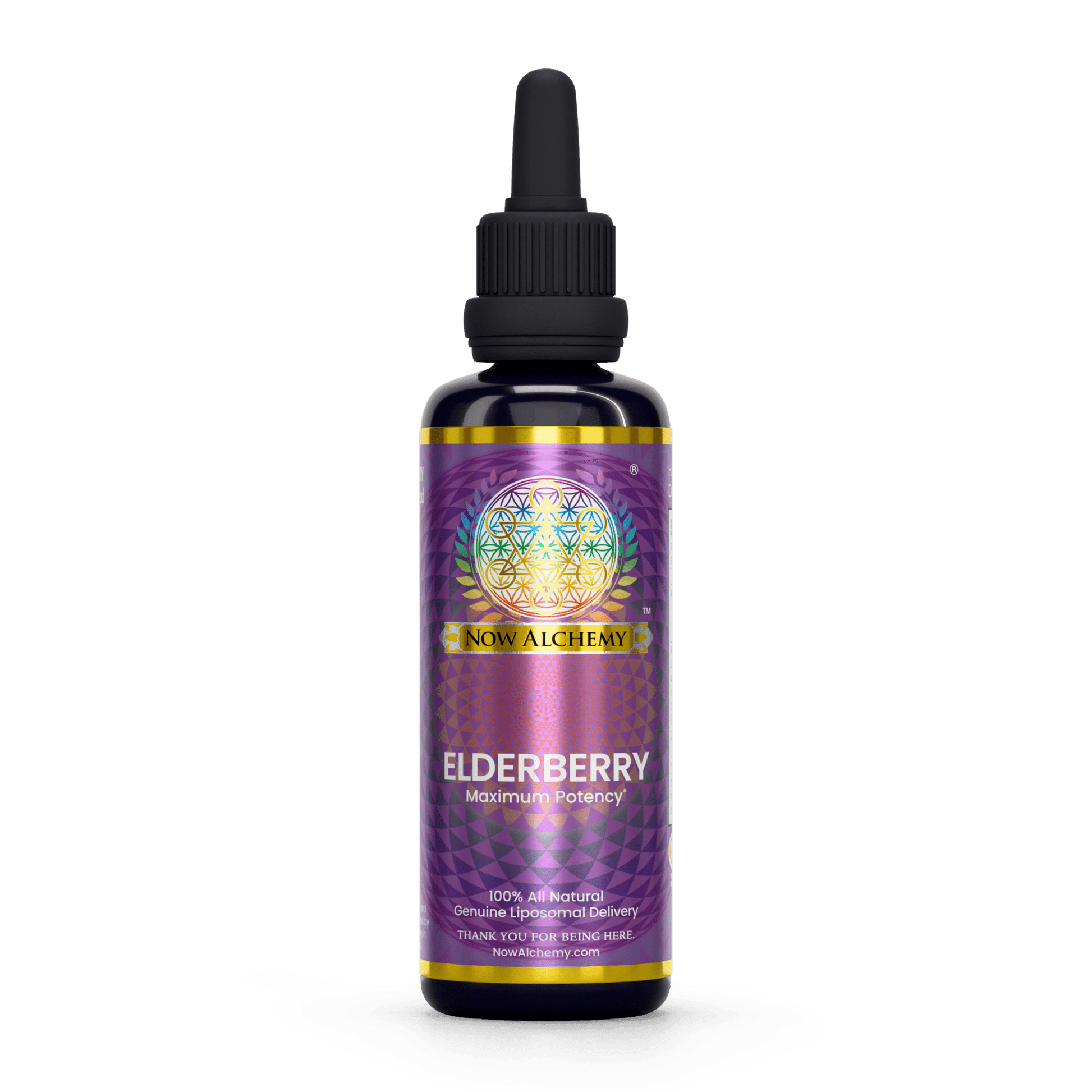 Nanoliposomal Elderberry - Now Alchemy