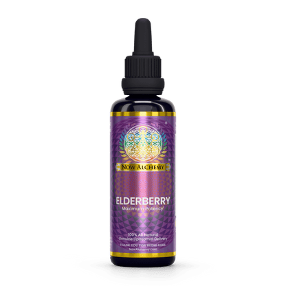 Nanoliposomal Elderberry - Now Alchemy