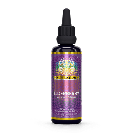 Nanoliposomal Elderberry - Now Alchemy