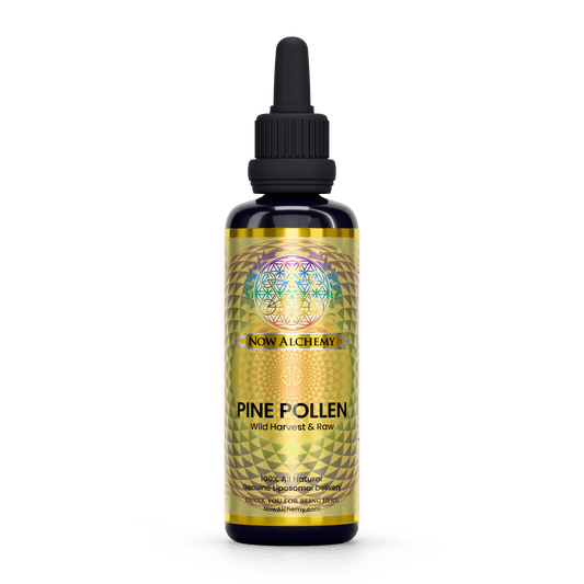 Nanoliposomal Pine Pollen - Now Alchemy