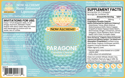 Paragone - Now Alchemy