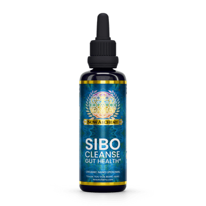 SIBO Cleanse - Now Alchemy