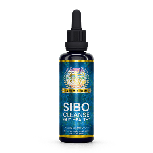 SIBO Cleanse - Now Alchemy