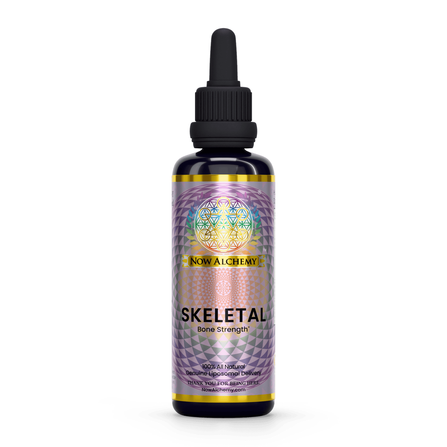 Skeletal - Now Alchemy