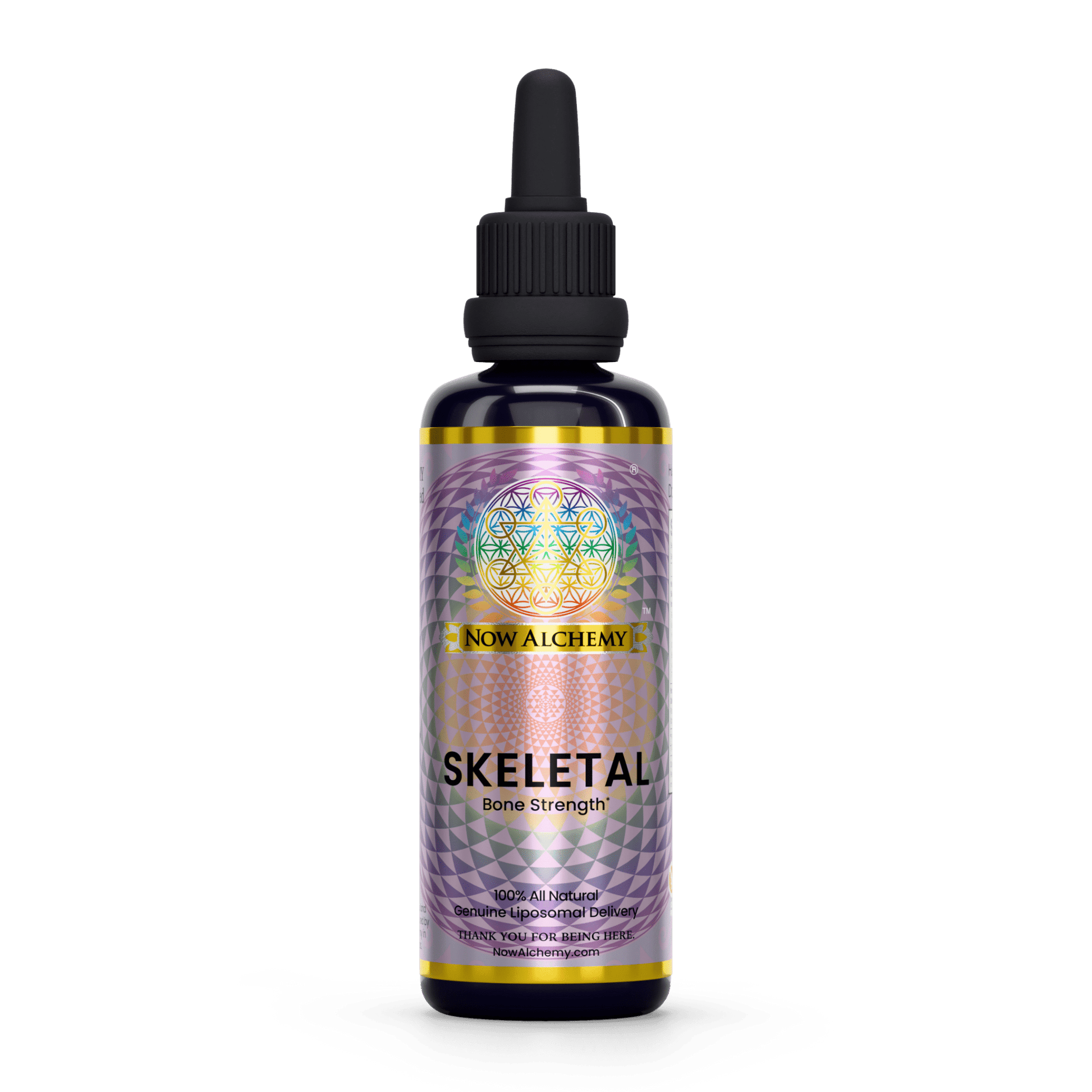 Skeletal - Now Alchemy