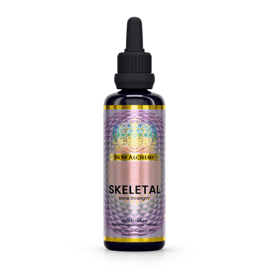 Skeletal - Now Alchemy