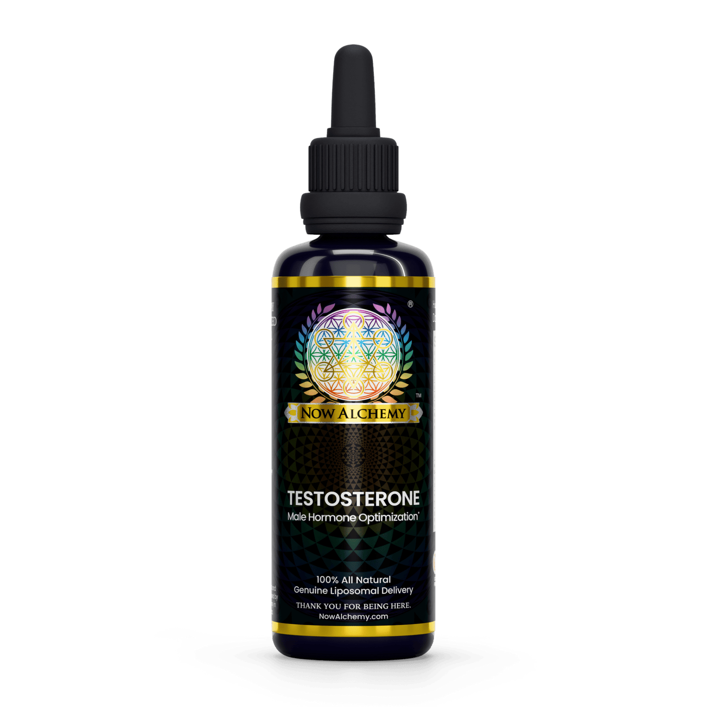 Testosterone Support - Now Alchemy