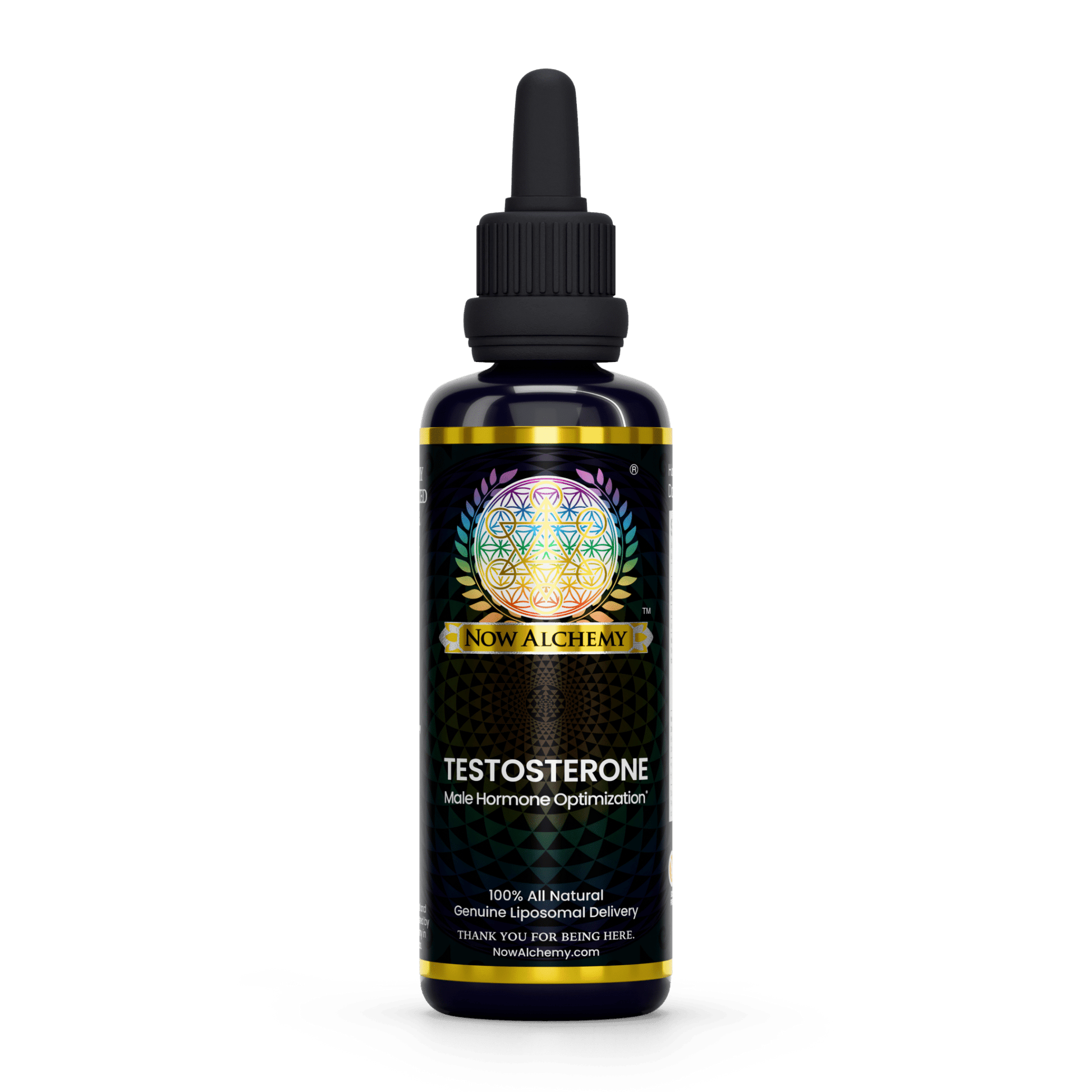 Testosterone Support - Now Alchemy