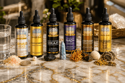 The Foundational Six - Now Alchemy