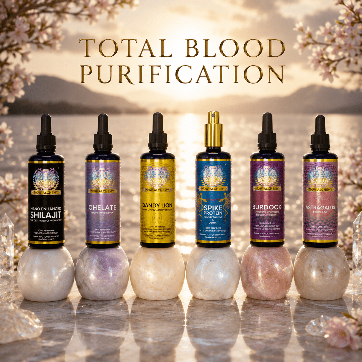 Total Blood Purification - Now Alchemy